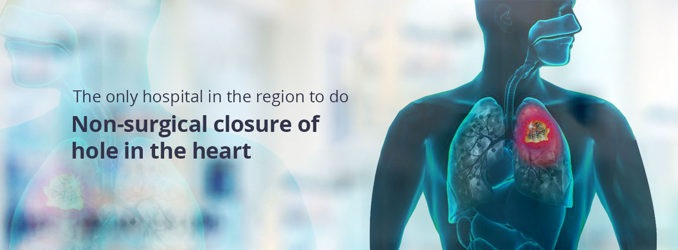 Institute of Heart